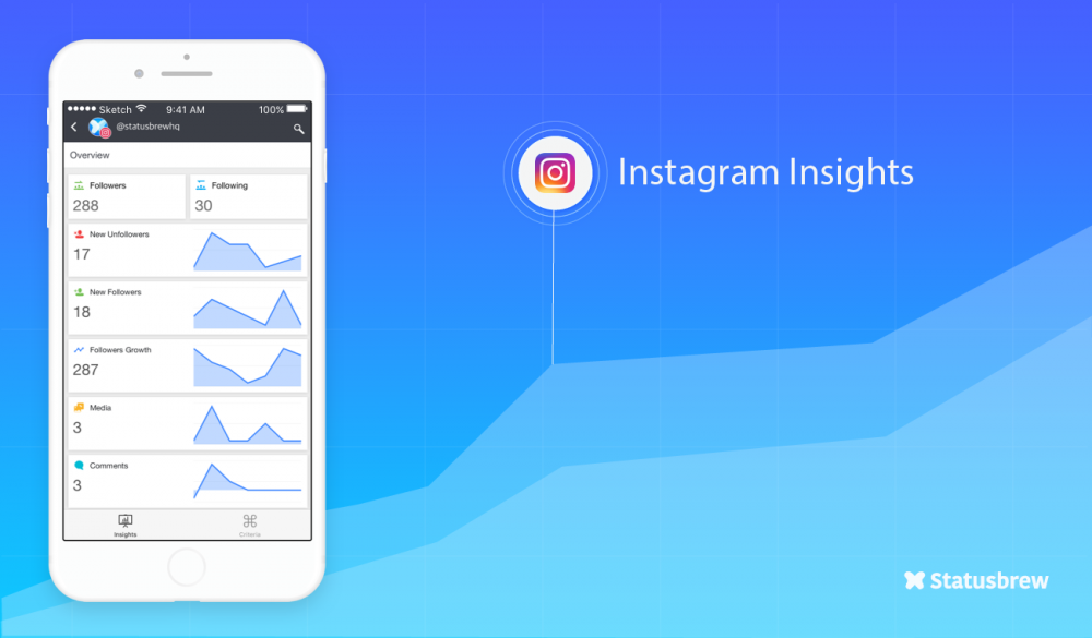 influencer instagram insights